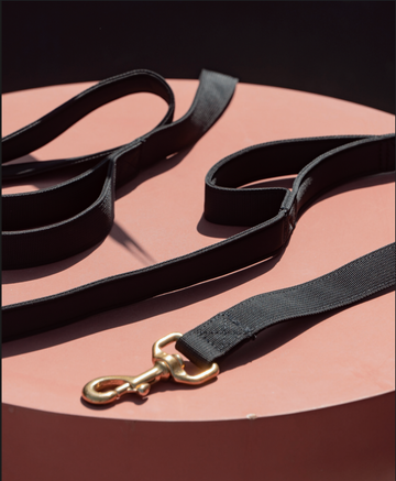Leashes