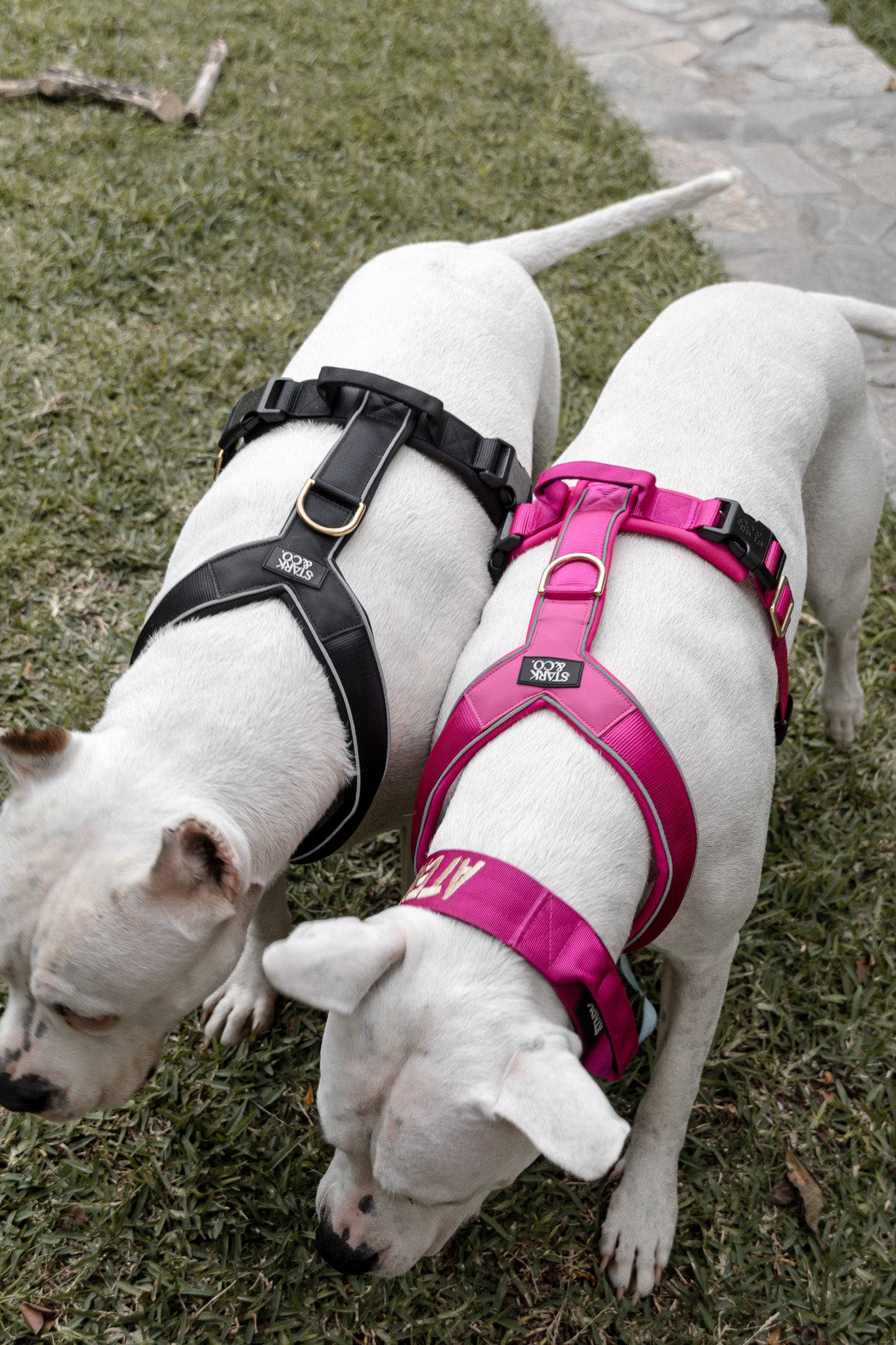 Cloud Harness Black