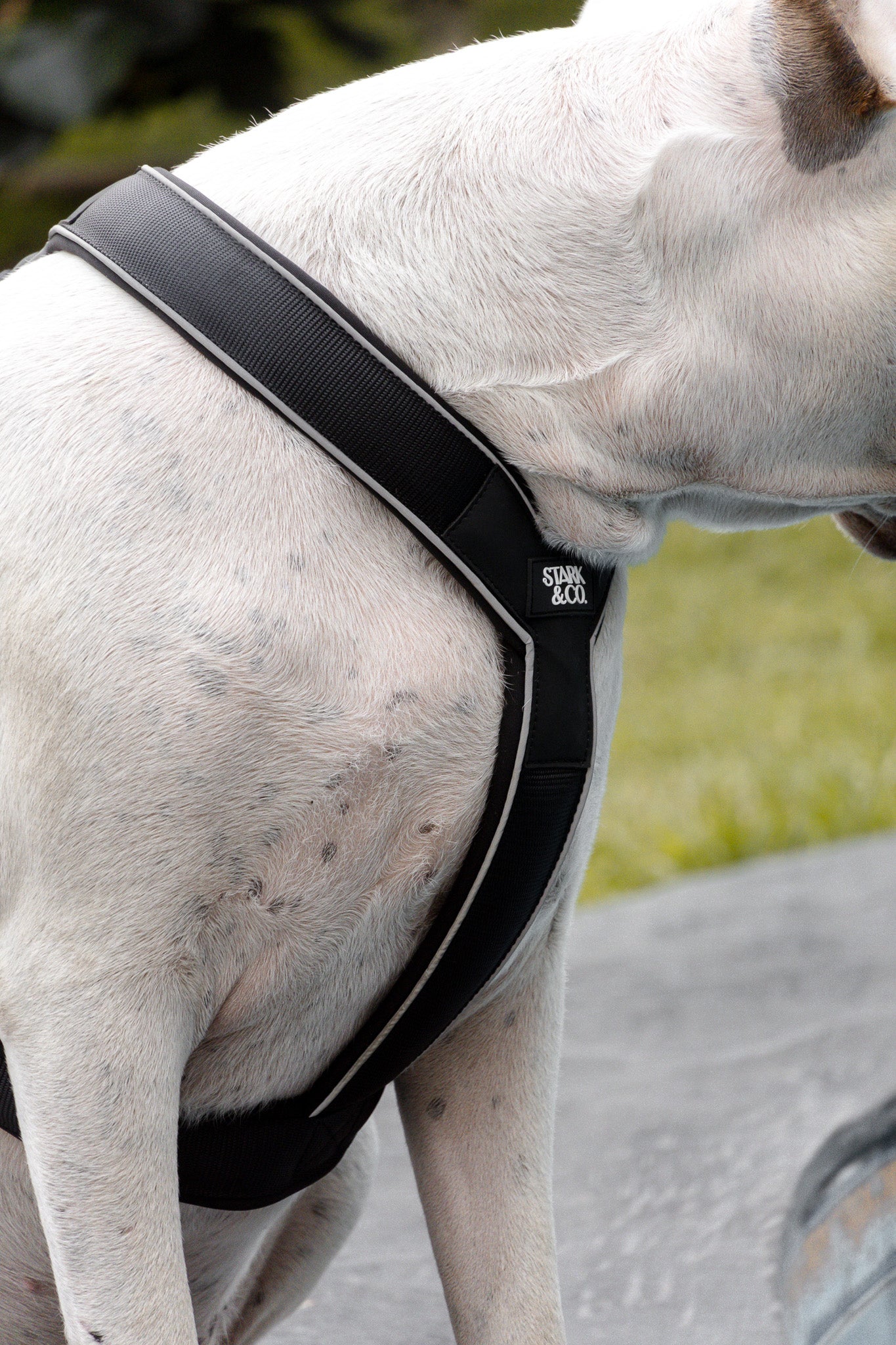 Cloud Harness Black