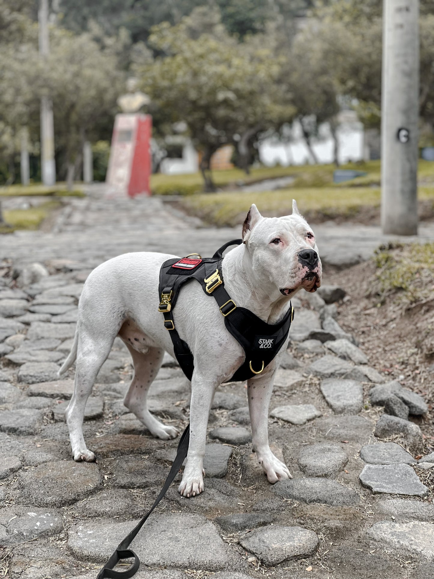 Tactical Harness Black
