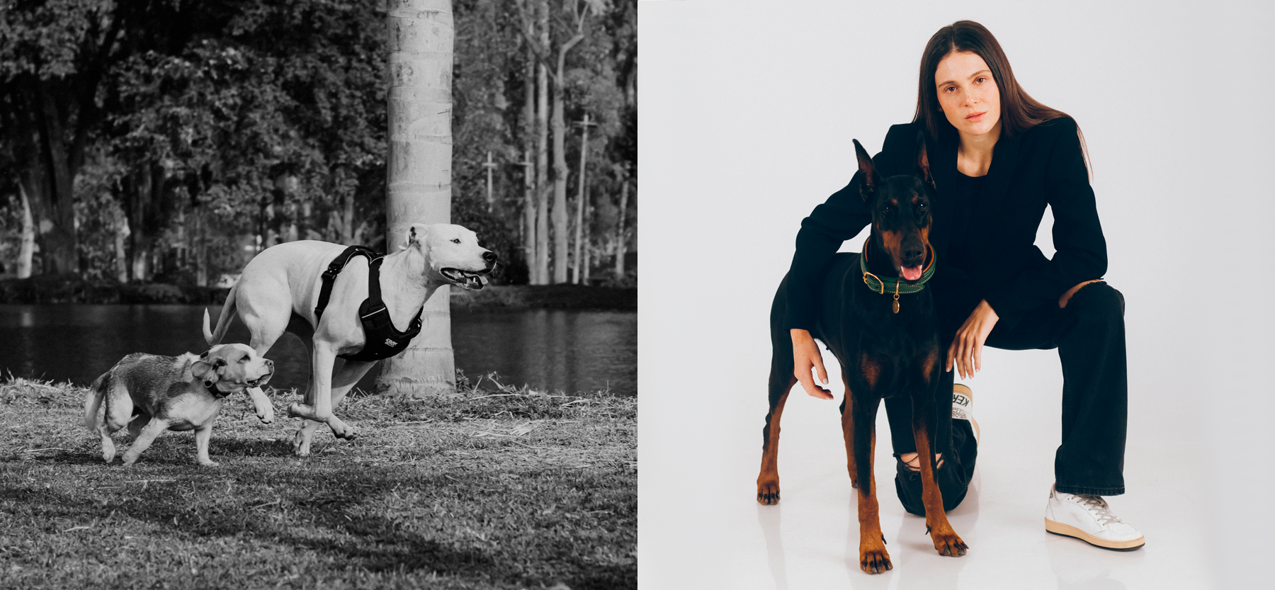 slider image slider_item_Nj9YbB