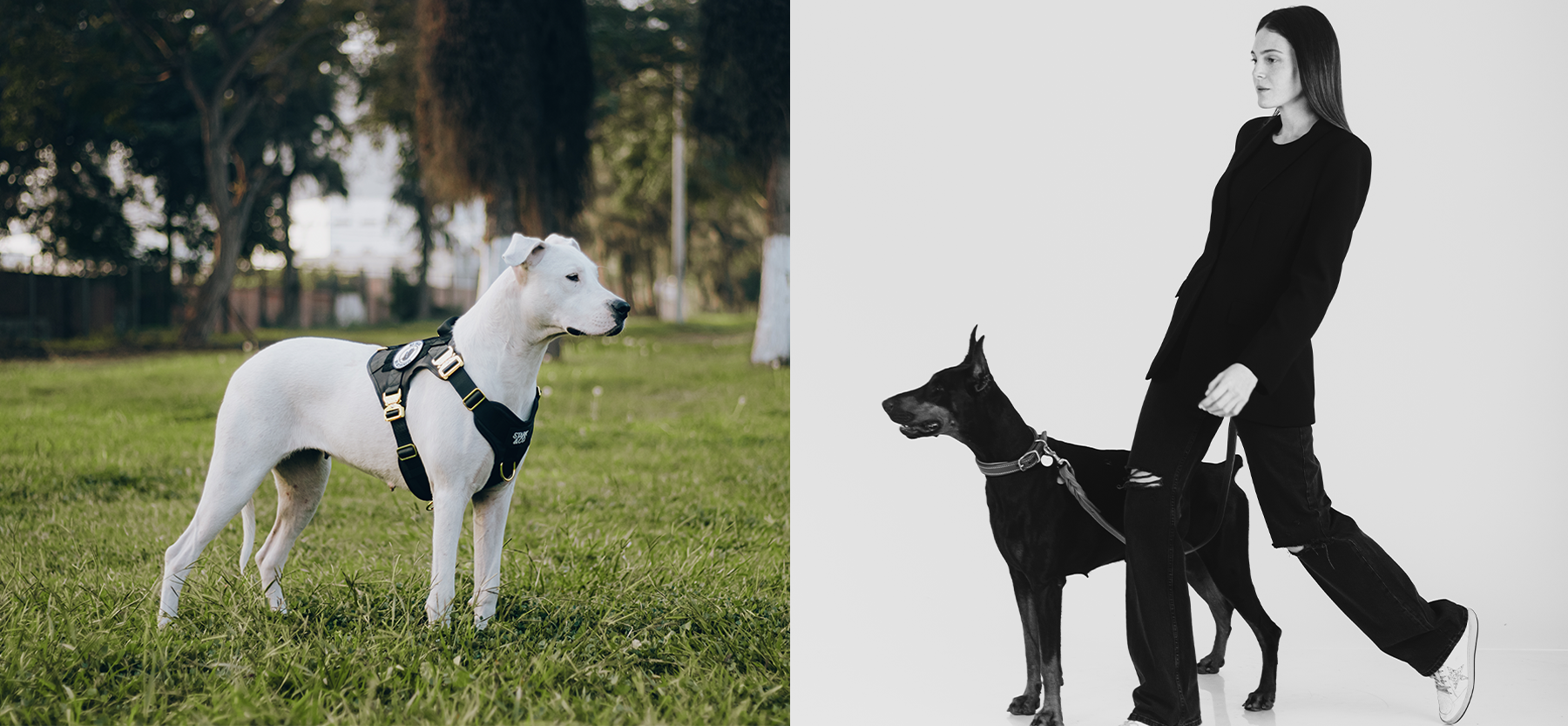 slider image slider_item_hMMEUG