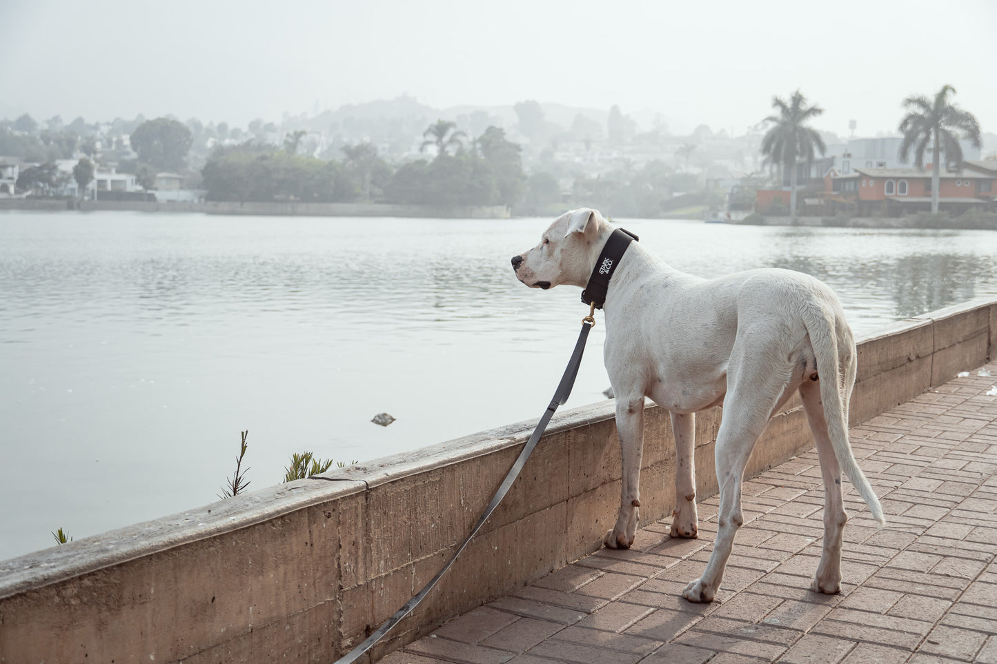 Biothane Liberty Leash