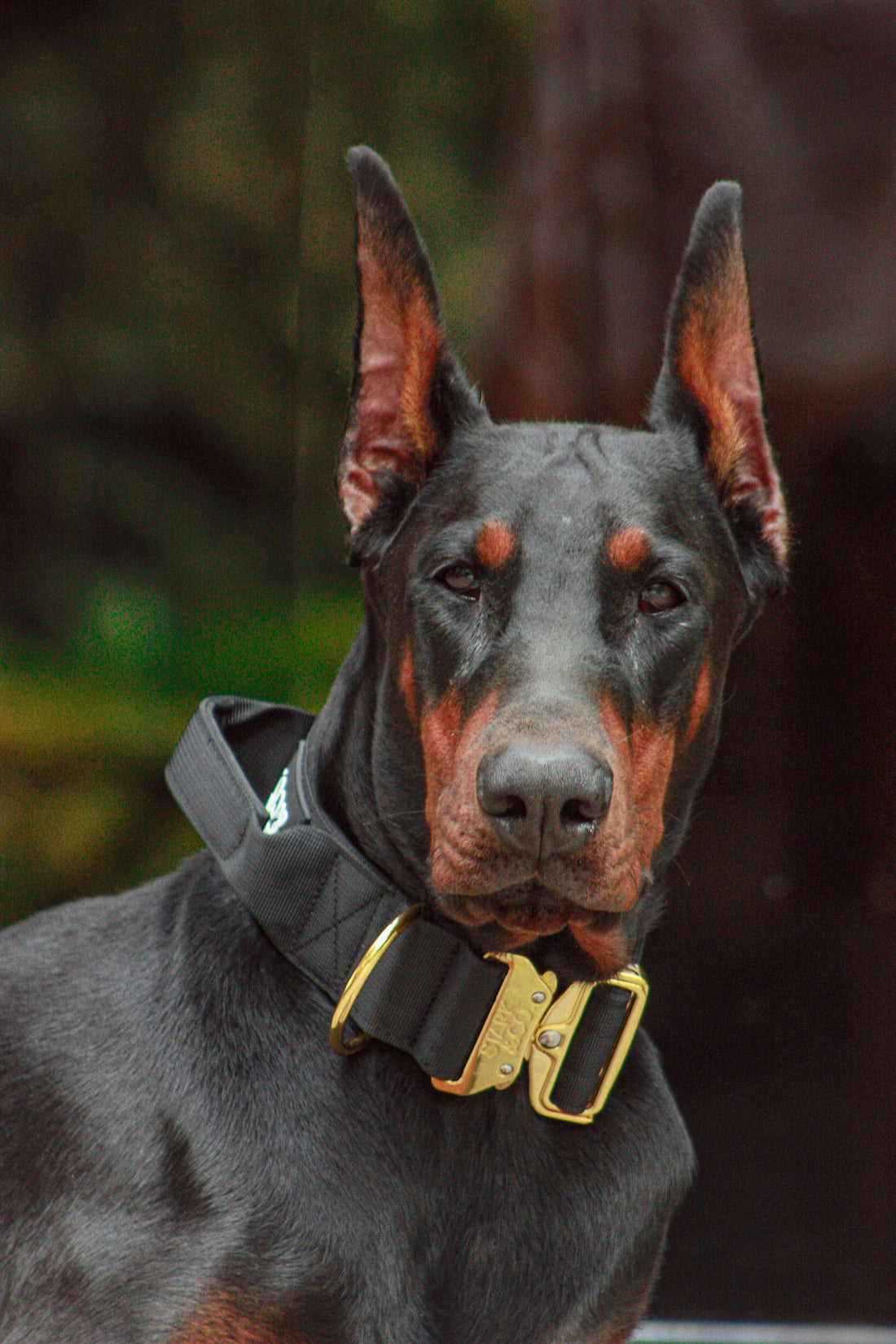 5cm Warrior City Black