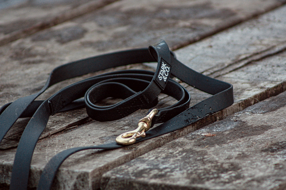 Biothane Liberty Leash