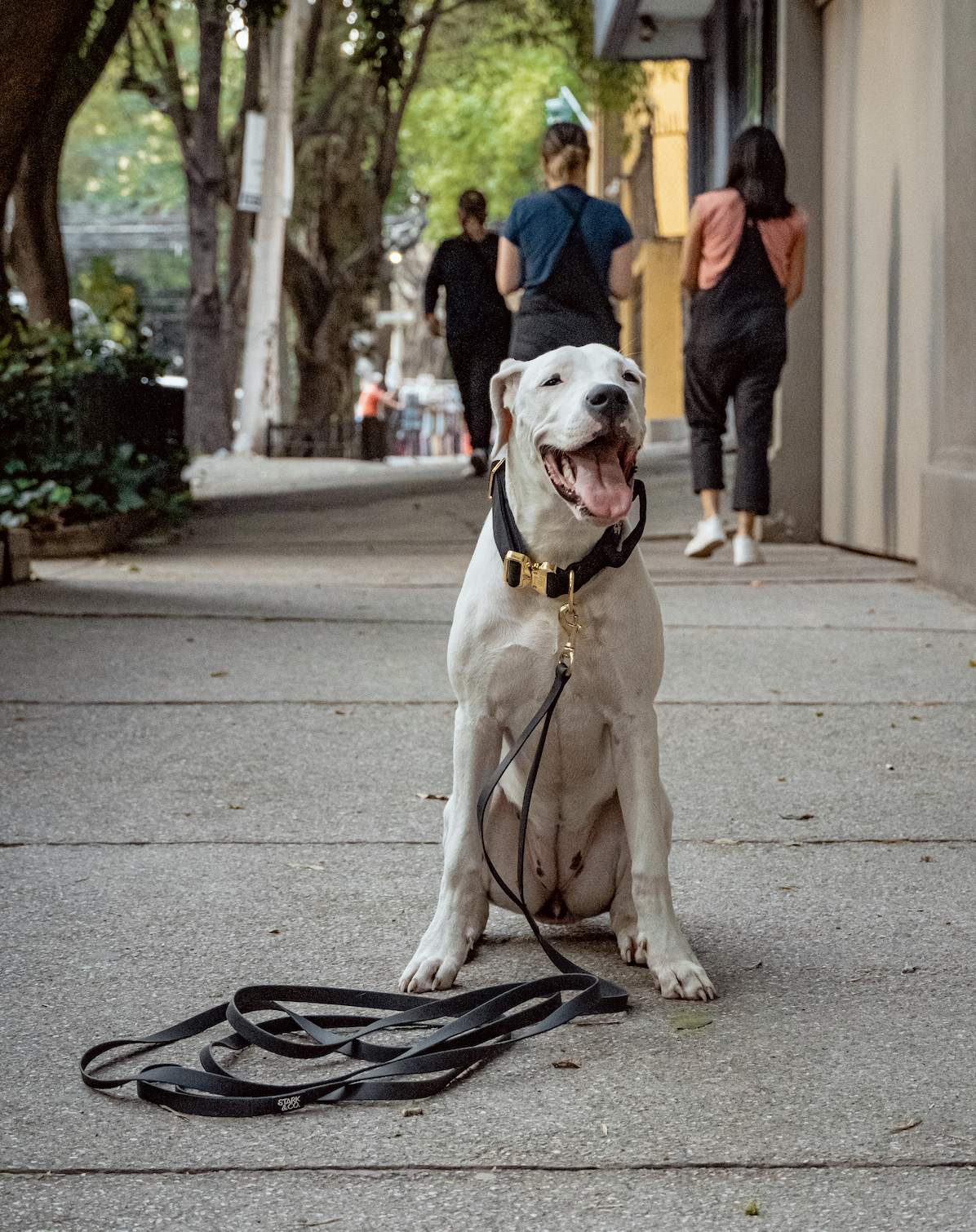 Biothane Liberty Leash