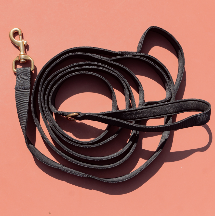 The Simple Leash