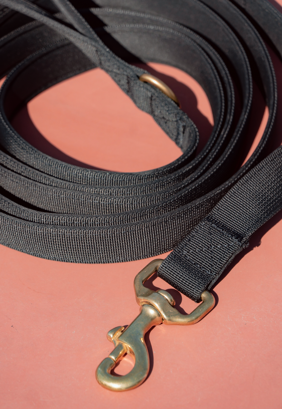 The Simple Leash