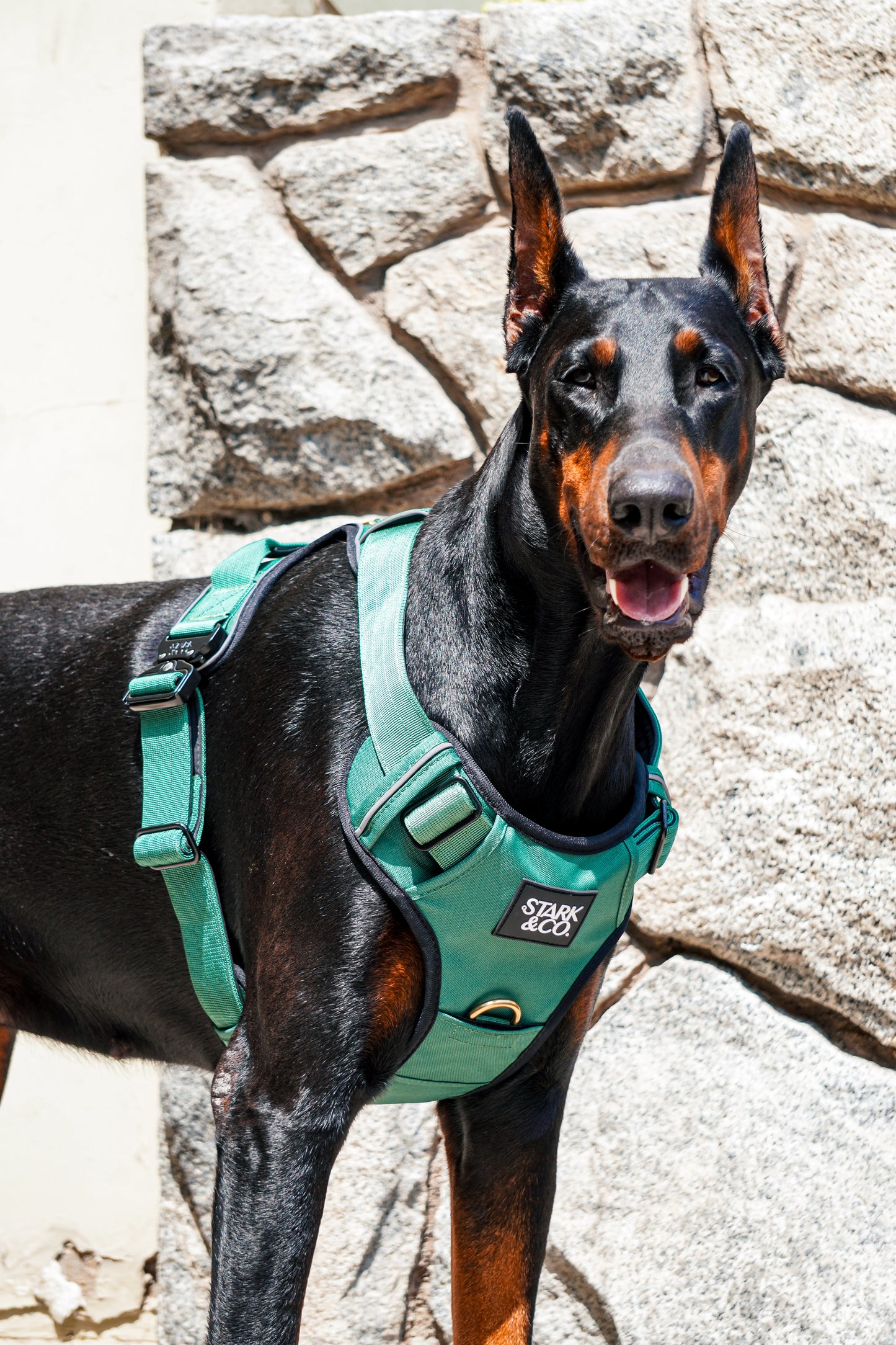 Comfort Harness Emerald Green