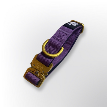 Warrior Mini Morado