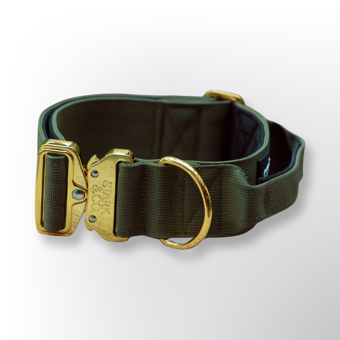 Warrior City Verde Militar