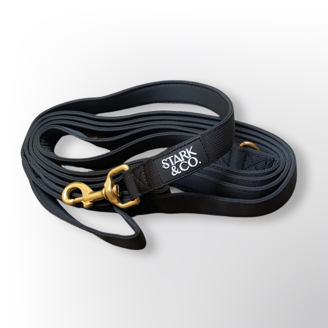 The Simple Leash