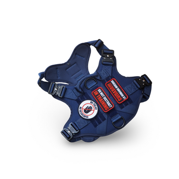 Tactical Harness Stark Blue