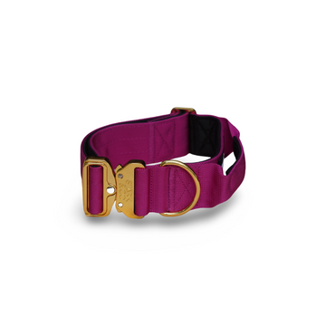 5cm Warrior City Fuchsia