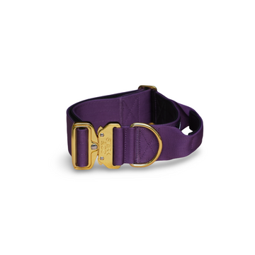 5cm Warrior City Purple