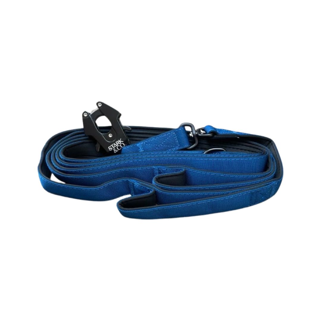 Navy Blue Leash