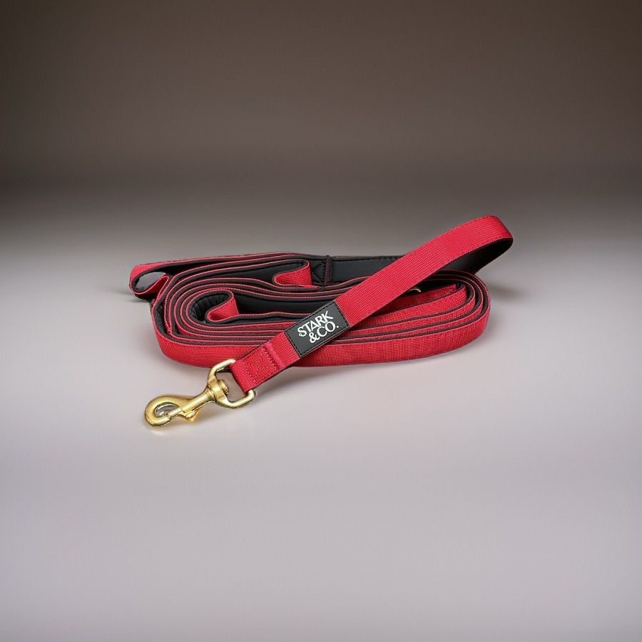 The Simple Red Leash