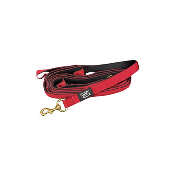 The Simple Red Leash