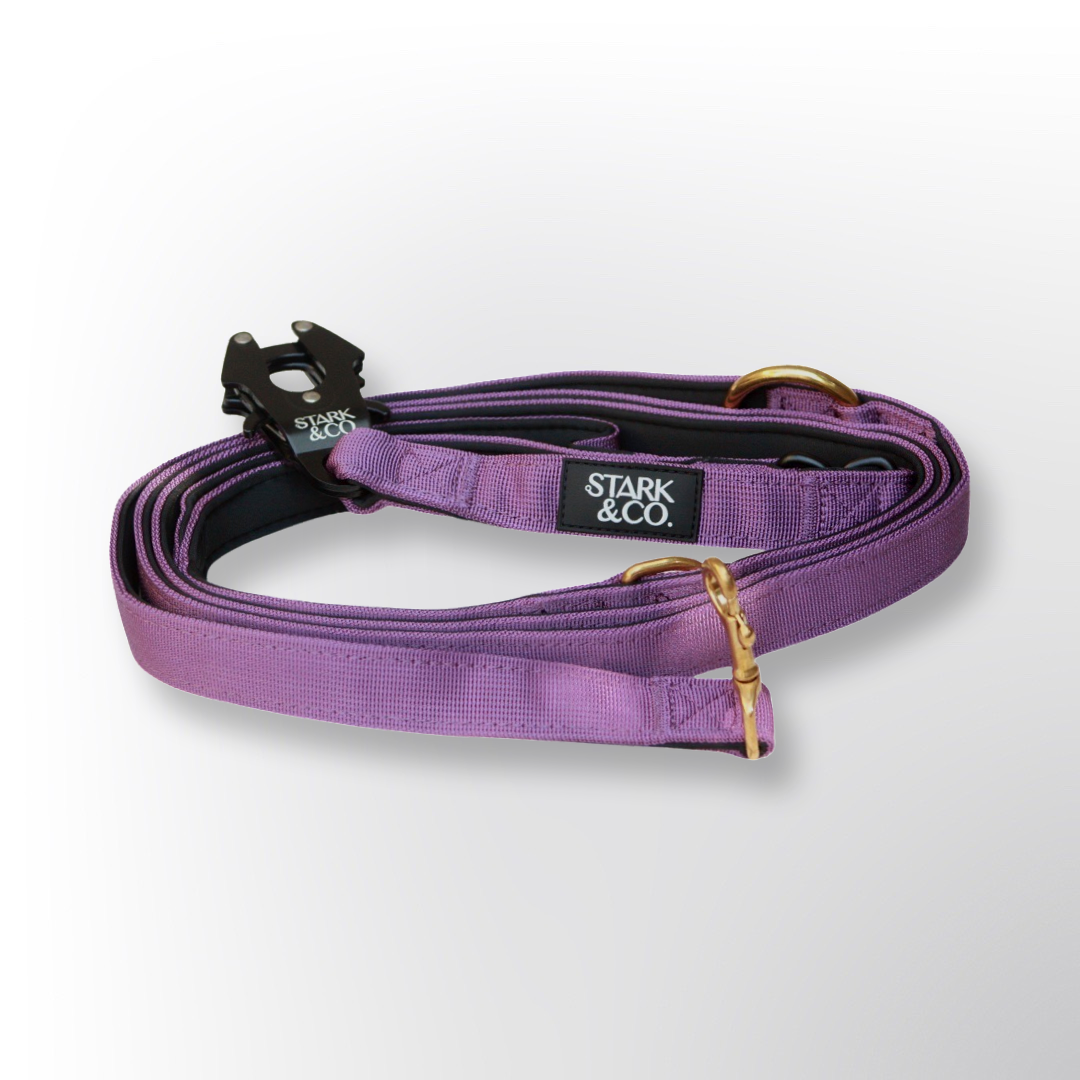 Multifunction Leash - Purple