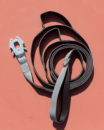 Limited Edition Silver Leash