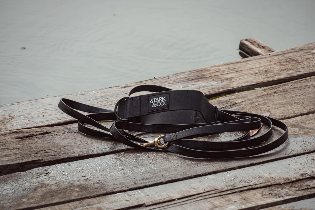 Collar de Biotano Liberty - Negro