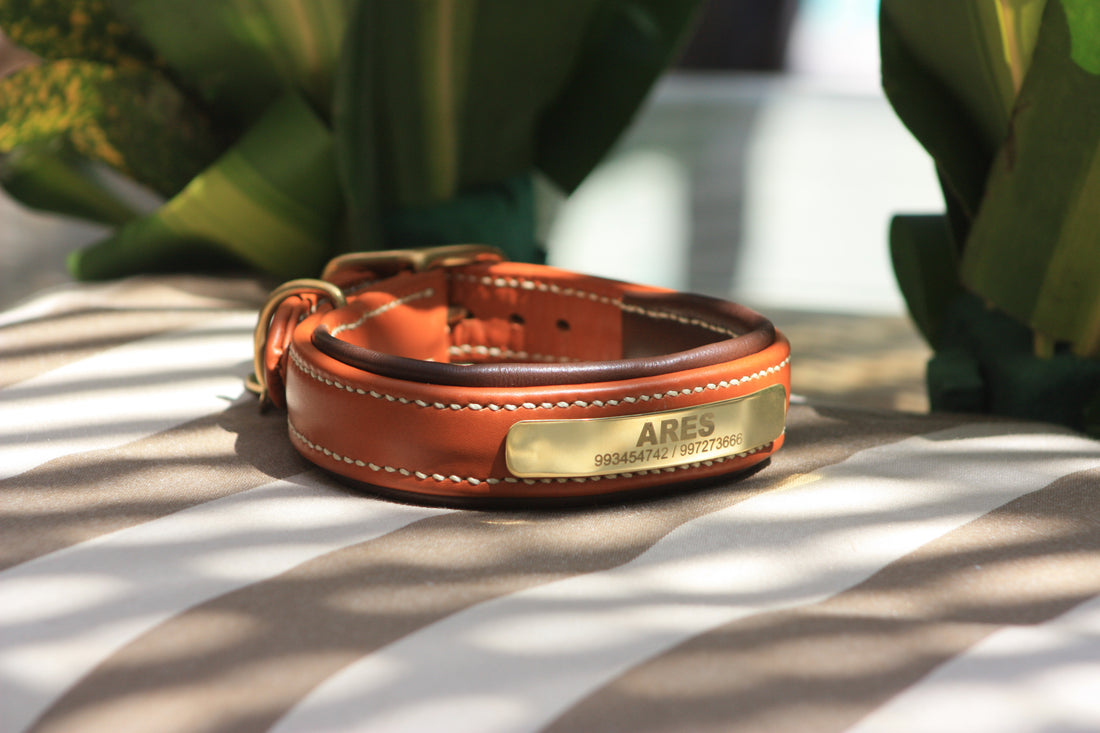 Slim Collar
