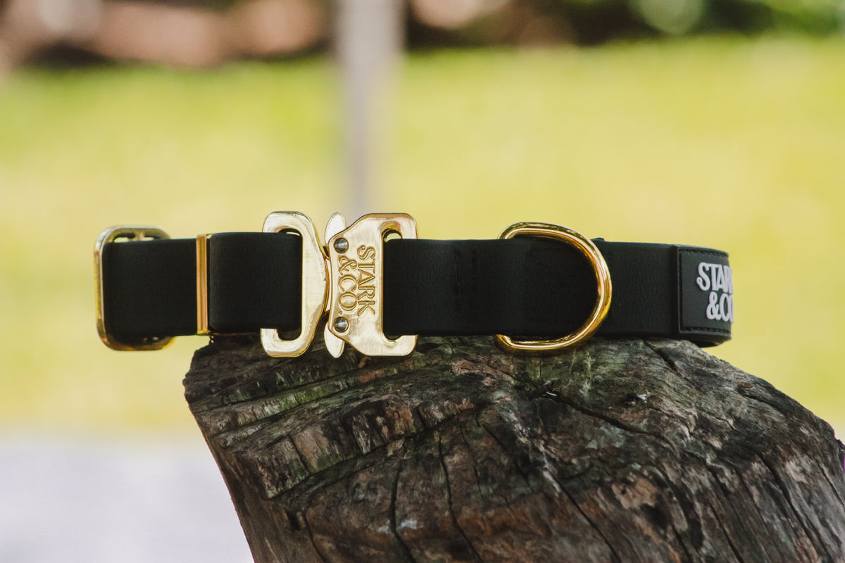 Biothane Gold Biothane Mini Collar - Gold | Stark & Co