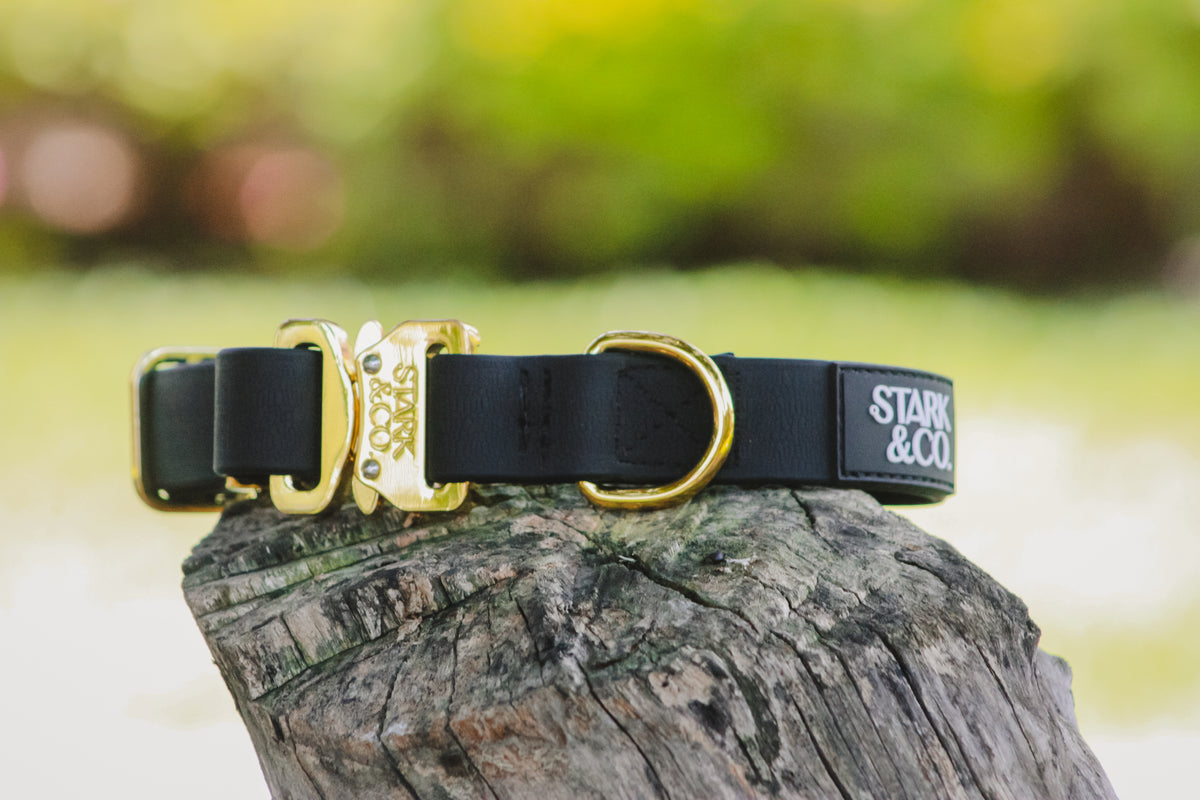 Biothane Gold Biothane Mini Collar - Gold | Stark & Co