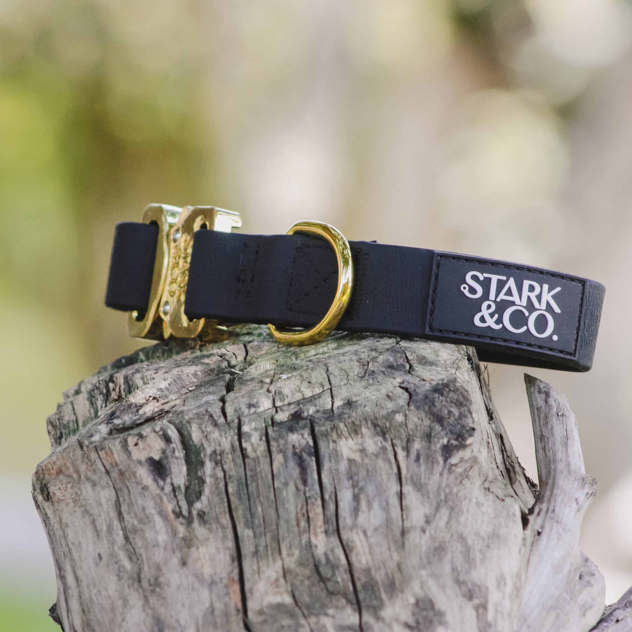 Collar Mini Biothane - Oro