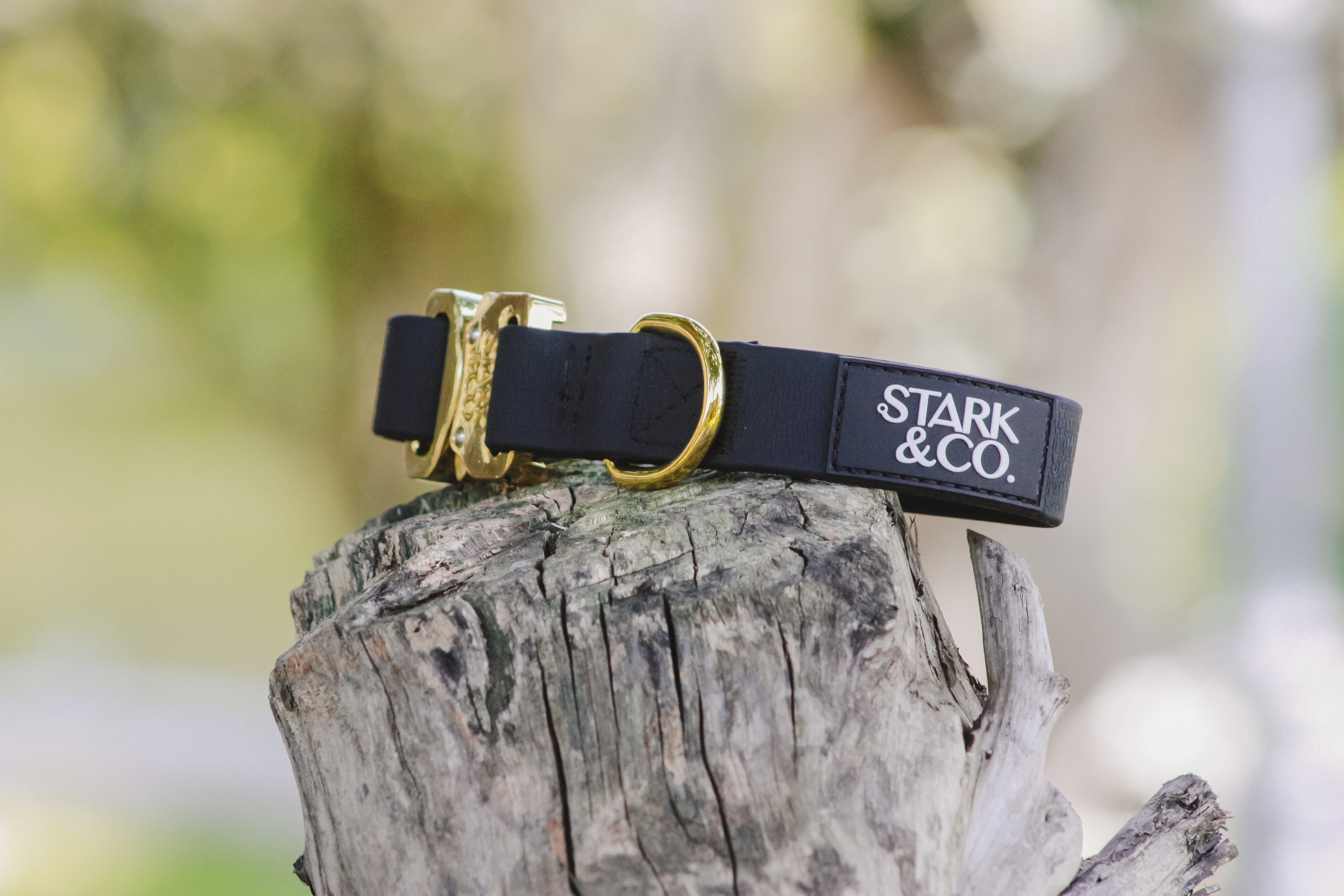 Biothane Mini Harness Biothane Mini Collar - Gold | Stark & Co