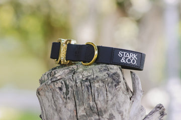 Collar Mini Biothane - Oro