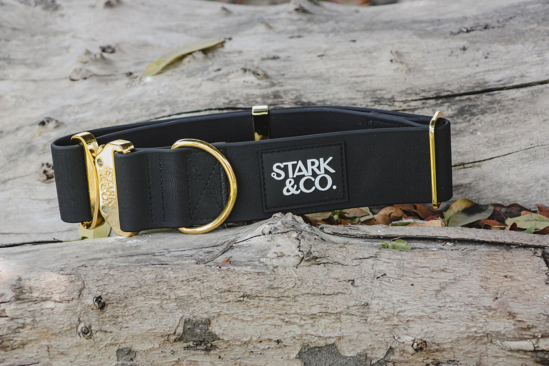 Collar de Biotano Liberty - Gold
