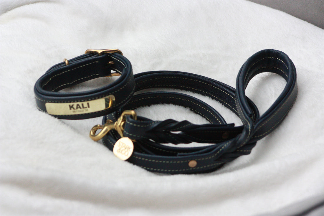 Leather Leash