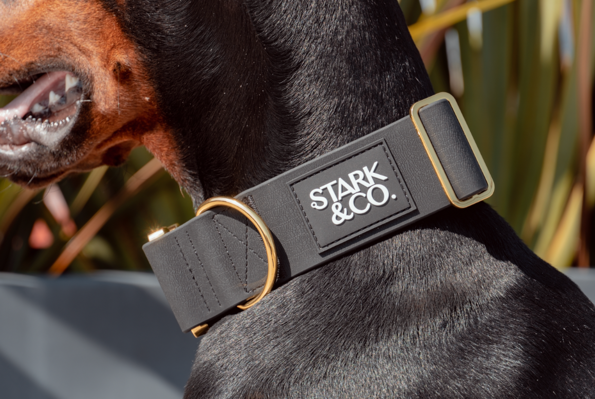 Biothane Gold Biothane Liberty Collar - Gold | Stark & Co