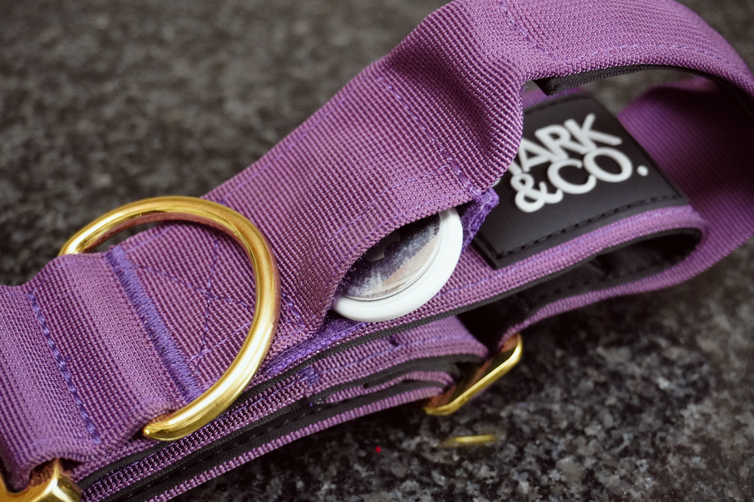 Warrior City Purple con bolsillo AirTag