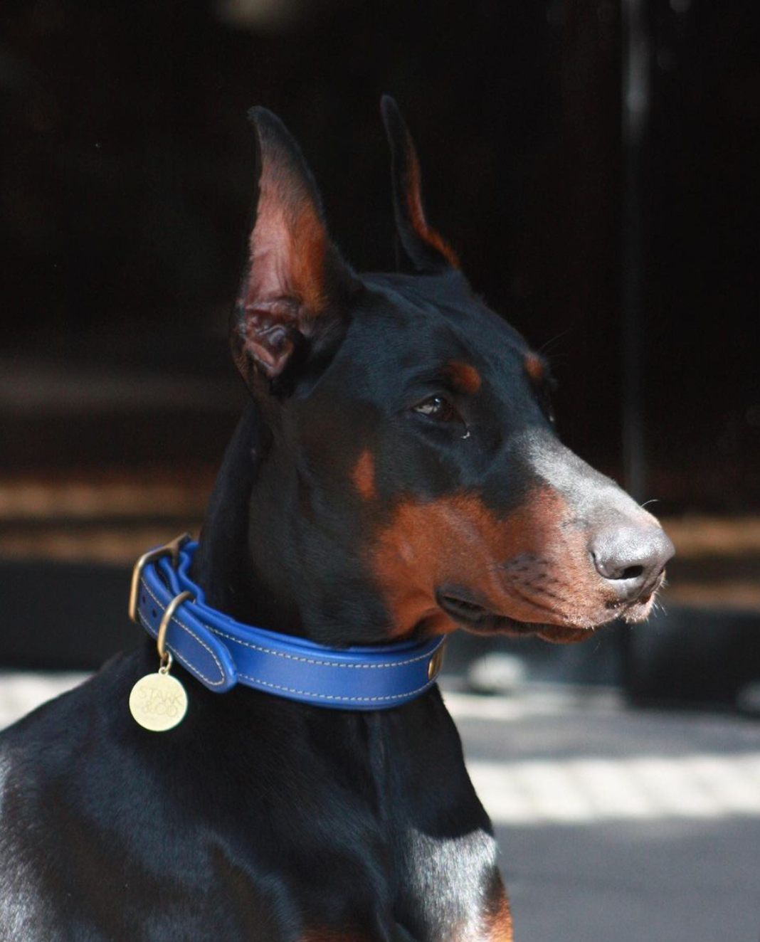 Collar Slim